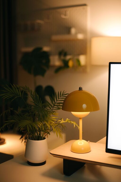 Tips for Creating a Cozy and Functional Home Workspace